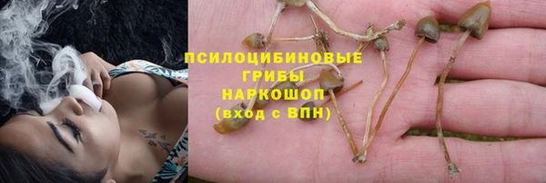 apvp Абаза